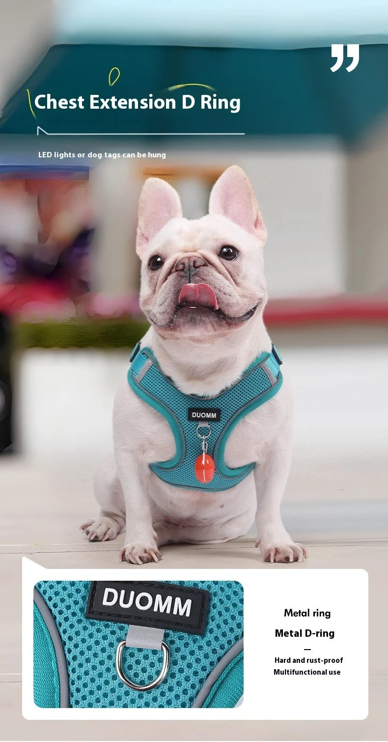 Conjunto de coleira para cães, pequeno, médio, cão, gato, peitoral ajustável, refletivo, respirável, colete de treinamento para caminhada, acessórios para animais de estimação