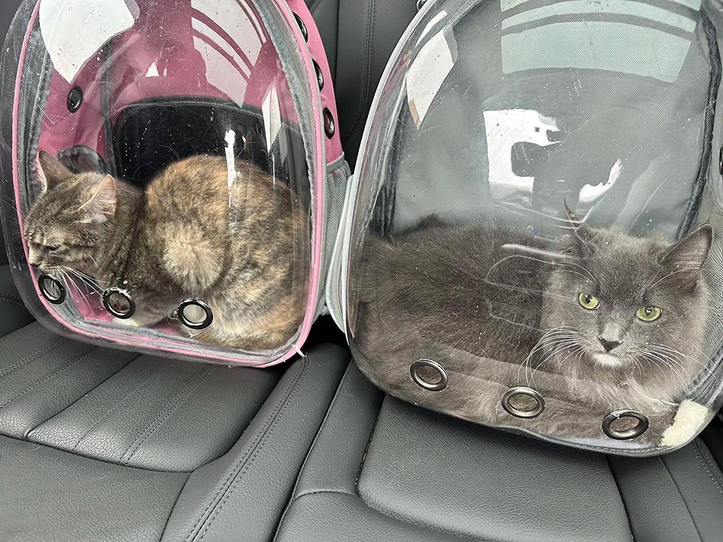 Mochila para gatos, bolsa respirável, cápsula transparente, portátil, para viagem ao ar livre, bolsa de ombro para animais de estimação, mochila para animais de estimação