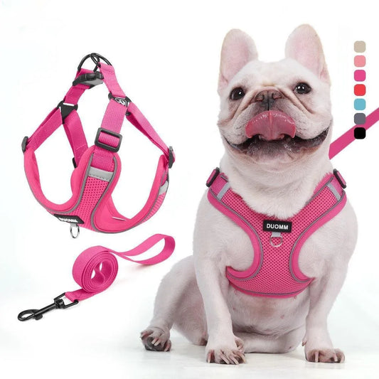 Conjunto de coleira para cães, pequeno, médio, cão, gato, peitoral ajustável, refletivo, respirável, colete de treinamento para caminhada, acessórios para animais de estimação