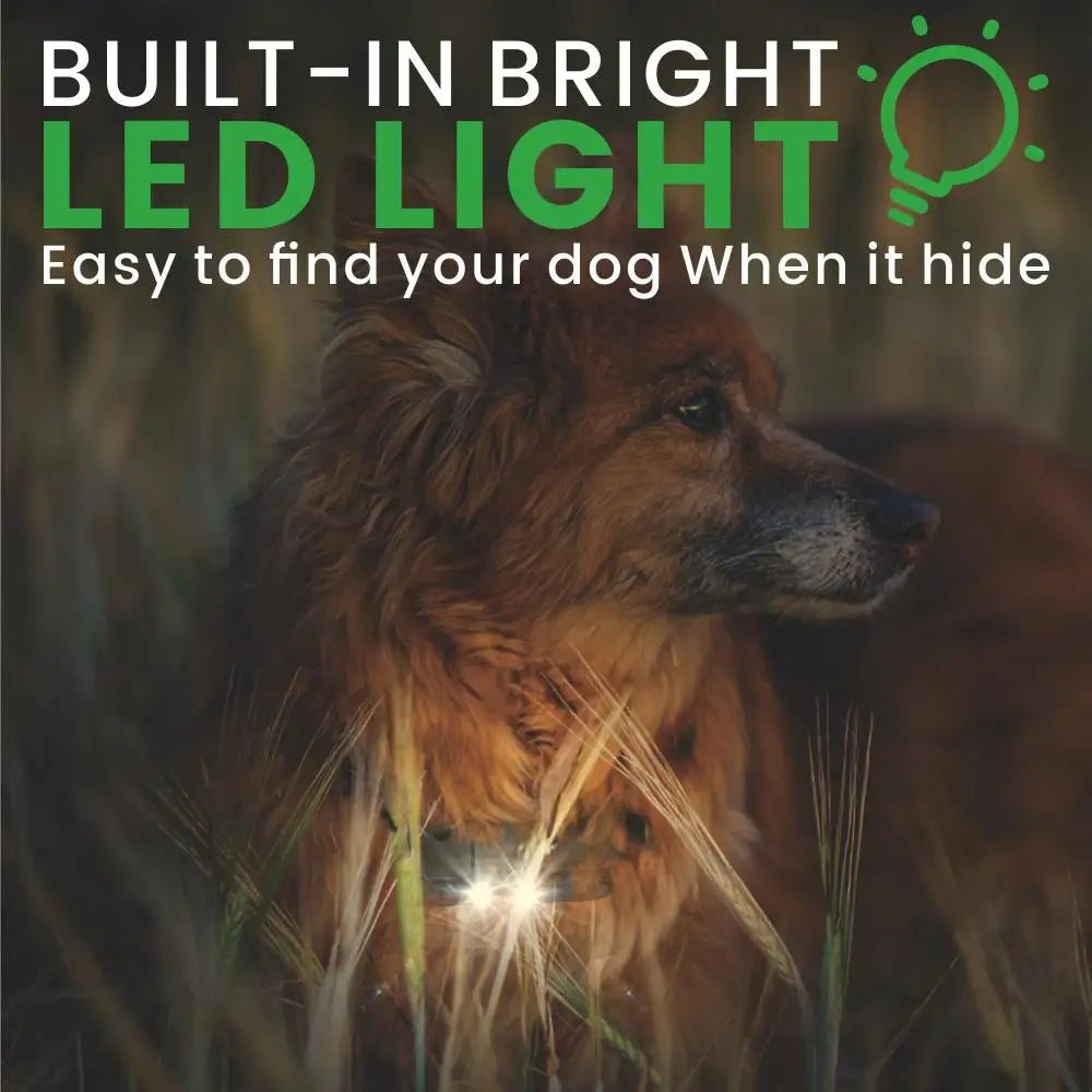 Electric Dog Training Collar Waterproof Dog Bark Collar Pet With Remote Control Rechargeable Anti Barking Device All Size Dogs