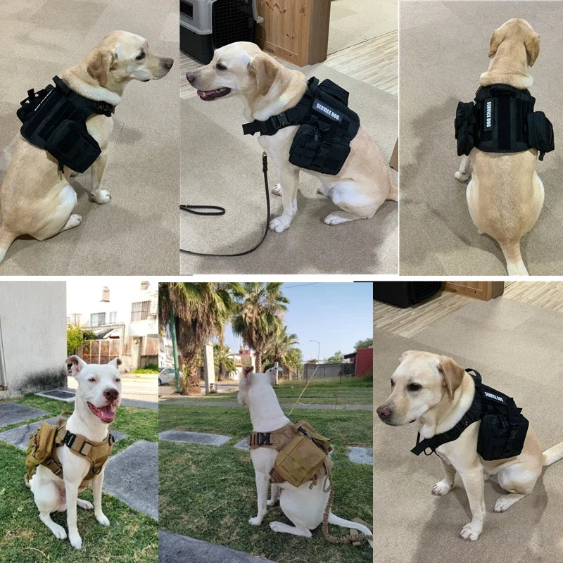 Colete militar tático para animais de estimação, pastor alemão, golden retriever, conjunto de arreios e guia para cães de todas as raças