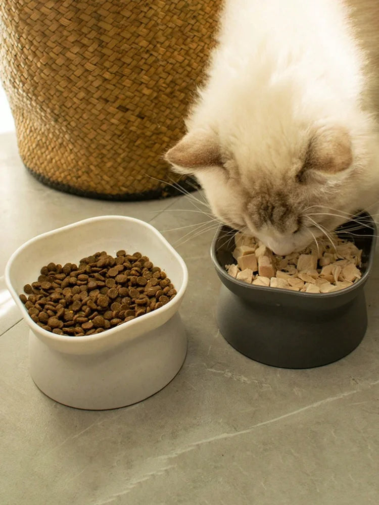 1 tigela para animais de estimação, alimentador de água e comida, para gatos e cães pequenos