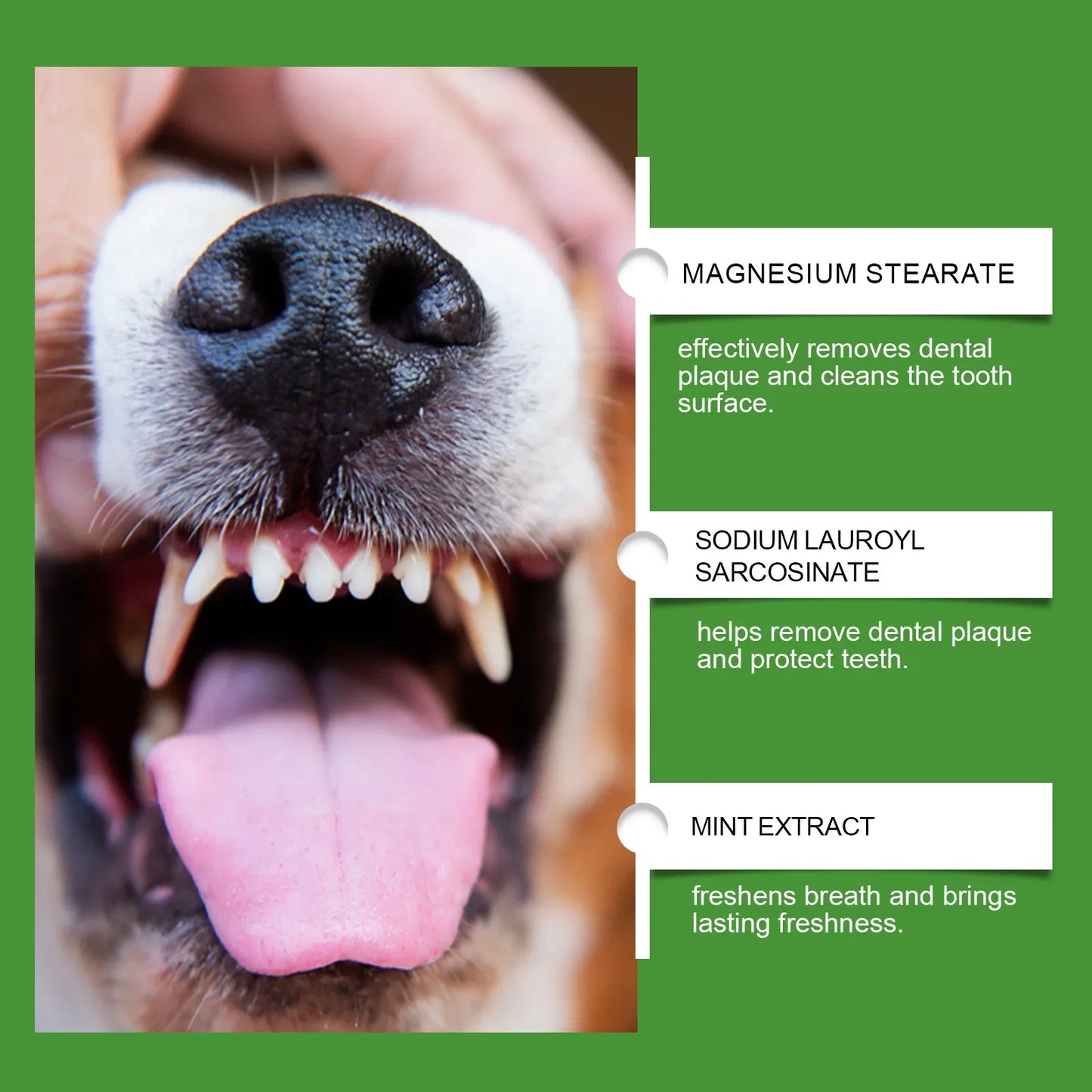 Pó para limpeza de dentes de cachorro Pó dental para cães e purificador de hálito de gatos Remove placa bacteriana Laboratório de limpeza de dentes de animais de estimação co Limpeza de dentes de cachorro
