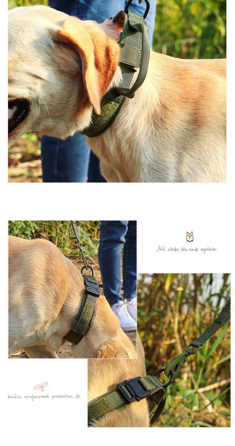 Pet Collar Tactical Collar Outdoor Training Adjustable Explosion-Proof Neck Collar Tactical Dog Collar Traction Rope