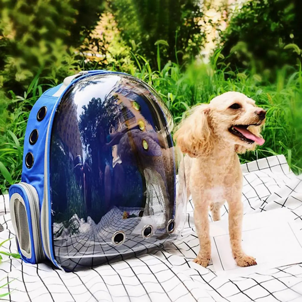 O fabricante fornece diretamente bolsas para gatos, mochilas para animais de estimação, cápsulas espaciais portáteis e transparentes, suprimentos para gatos, mochilas respiráveis