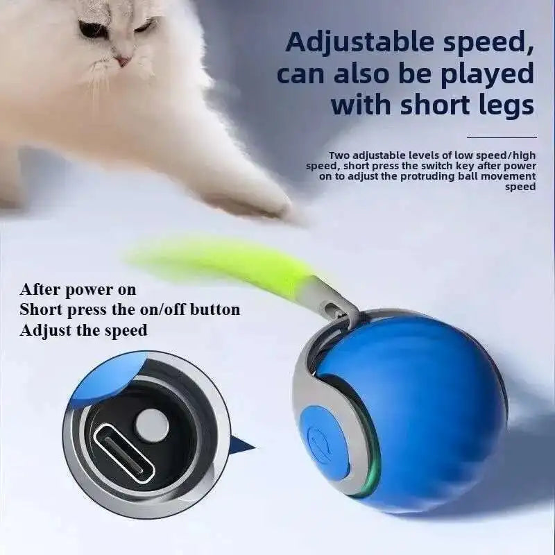 Bola de brinquedo interativa inteligente para gatos, bola rolante automática com cauda falsa, brinquedo elétrico recarregável por USB para animais de estimação, para provocação e treinamento