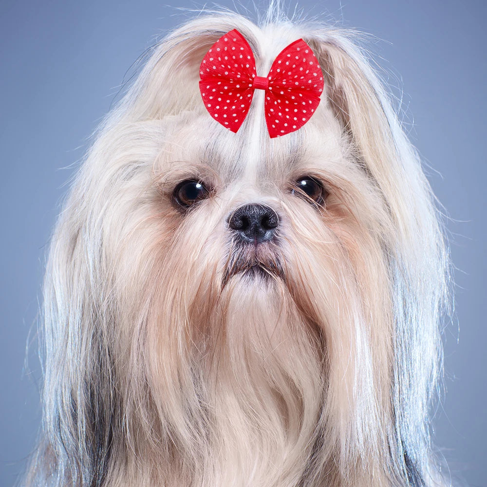 40 peças laços de renda para cachorro com elásticos pontilhados para pelo de cachorro, laço colorido para pelo de cachorro, produtos para animais de estimação
