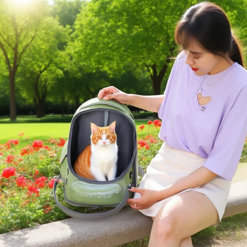Mochila transparente para transporte de animais de estimação, essencial para viagens ao ar livre, para gatos e cães pequenos, design respirável, suprimentos premium e confortáveis ​​para animais de estimação