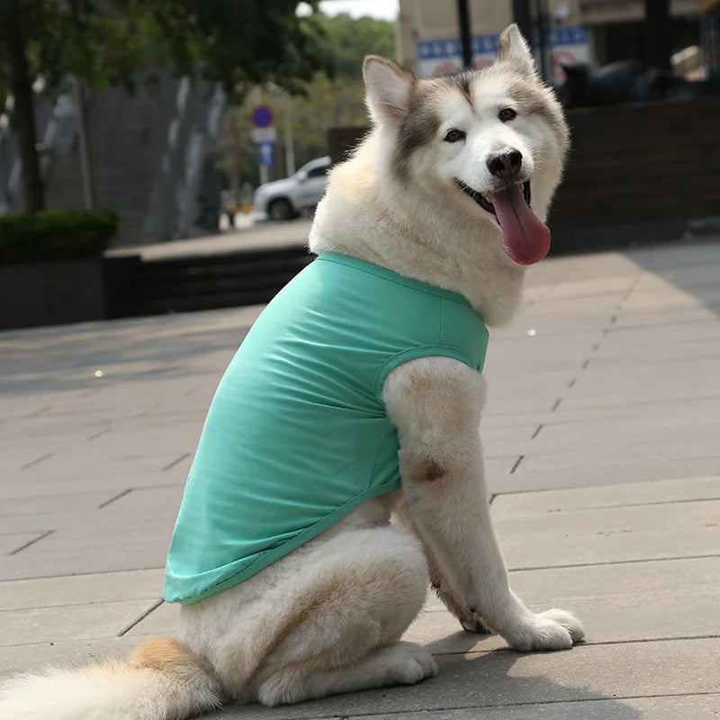 Colete de algodão para cachorro, 1 peça, roupas para animais de estimação para Golden Retriever, Samoieda, Labrador - Ajuste confortável para raças pequenas a grandes, algodão de pelúcia