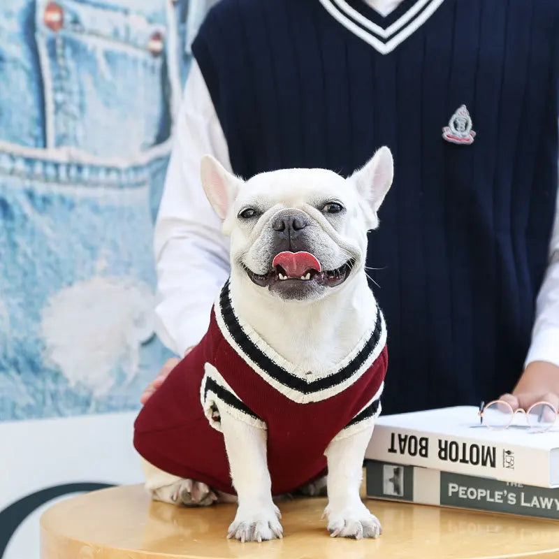 Winter Warm Pet Dog Sweater College Style V-neck Puppy Knitwear for Small Large Doggy Coat French Bulldog Vest Chihuahua Clothes
