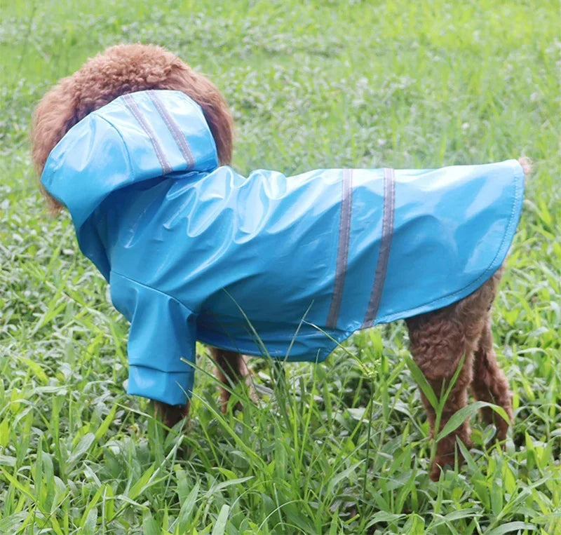 Capa de chuva para cachorro pequeno, impermeável e refletiva, à prova de vento, para cachorros e gatos, capa de chuva para chihuahua, bulldog, animais de estimação, capa, poncho, roupas