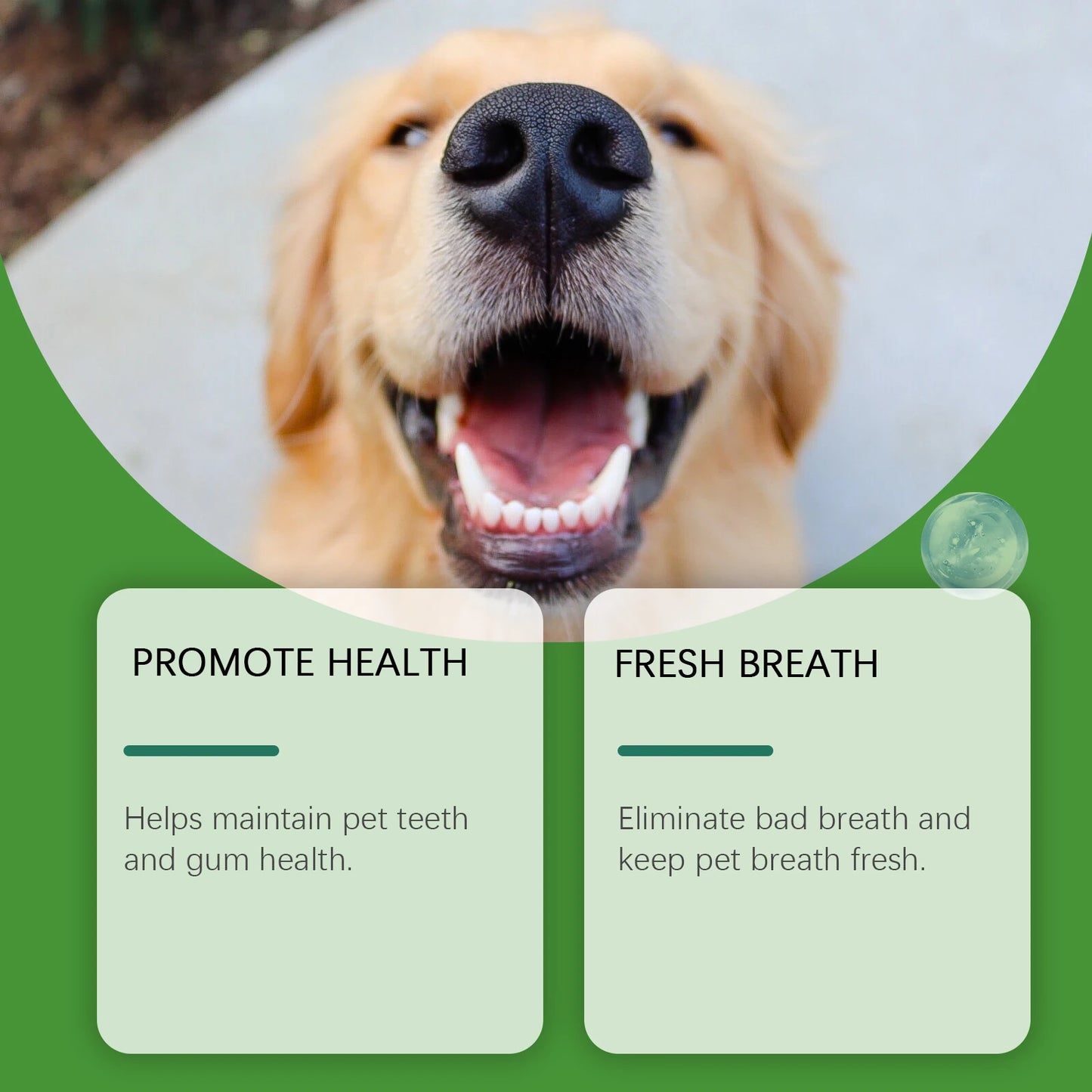 Pó para limpeza de dentes de cachorro Yegbong 150g - Cuidado dental suave para animais de estimação - Remove tártaro, manchas e mau hálito - Clareia os dentes