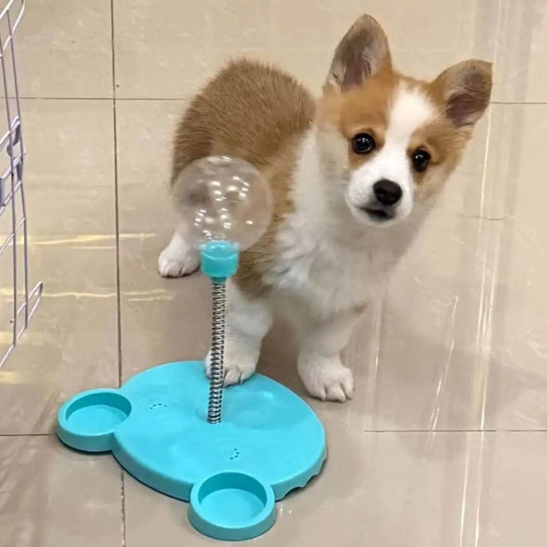 Dog Swing Feeder Ball Self-Entertainment Gadget, Shake & Feed Toy for Teddy, Bichon, Pomeranian & Other Pets
