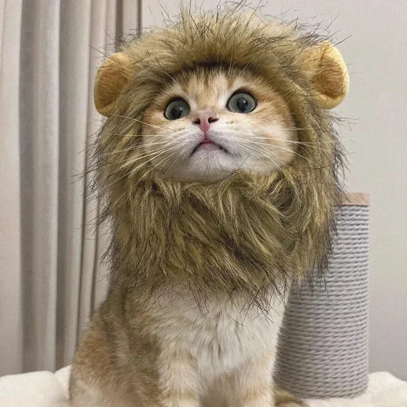Novos animais de estimação engraçados e fofos, roupas, boné, peruca de gato fofa, juba de leão, fantasia, cosplay, gatinho, cachorro, chapéu com orelhas, artigos para festa chiques