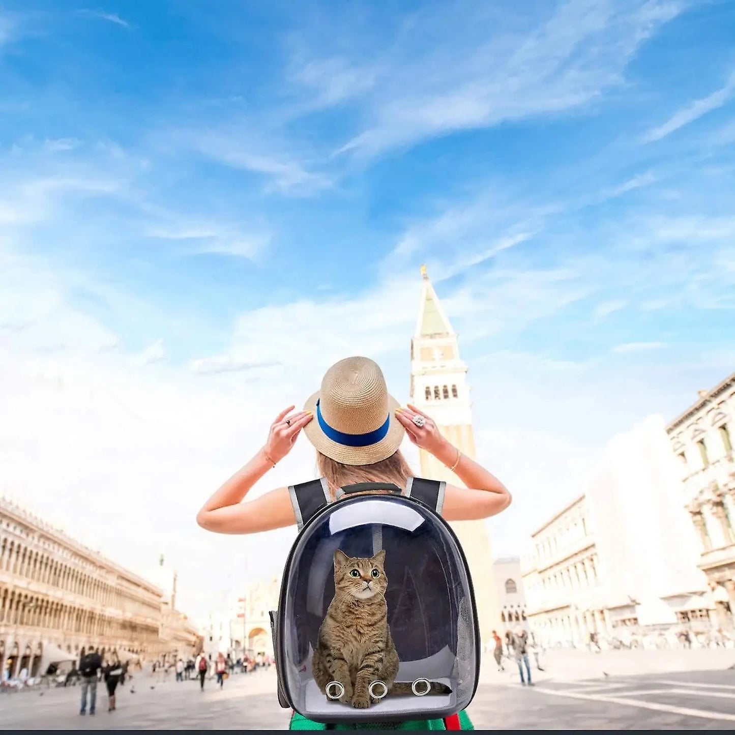 Mochila para transporte de animais de estimação, cápsula transparente, mochila para animais de estimação, filhotes, gatinhos, pássaros, transportadora respirável para viagem
