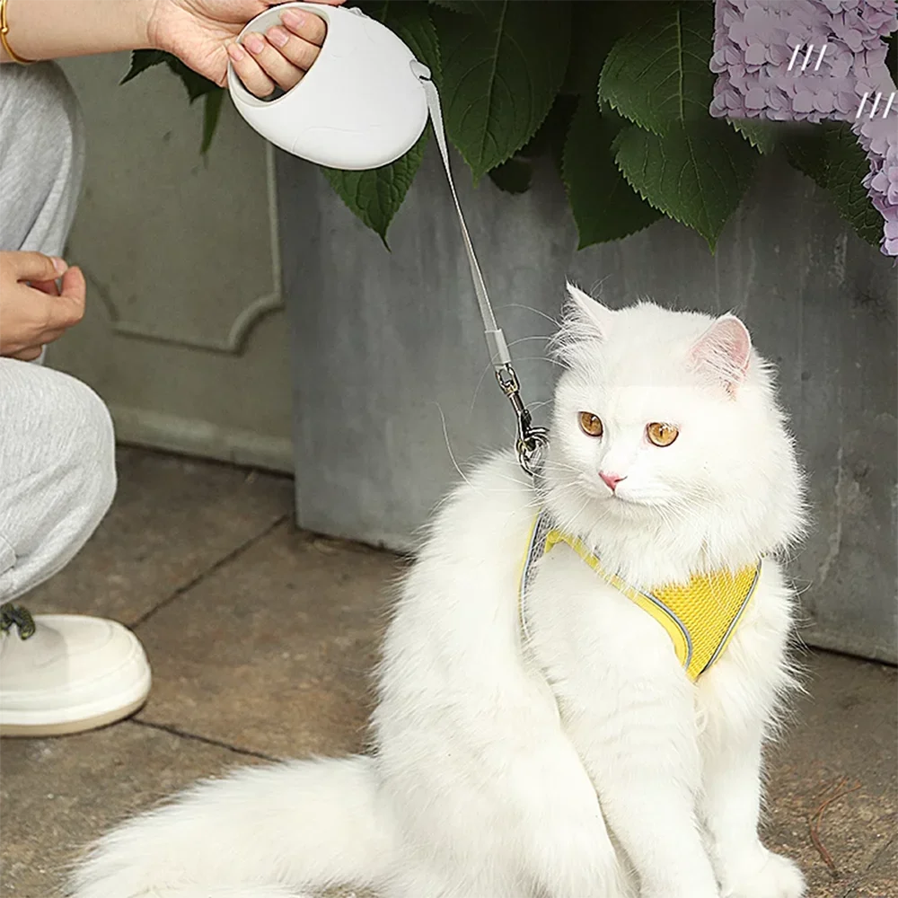 3M/5M Durable Dog Leash Retractable Roulette Collar for Small Big Dog Accessories Adjustable Durable Walking Dog Leash Rope