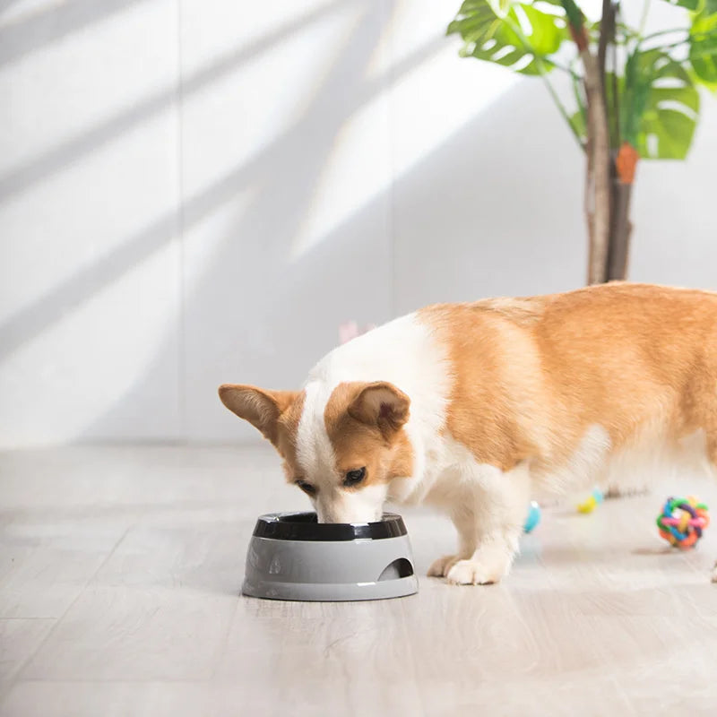 Tigelas flutuantes para cães e gatos, tigelas portáteis de plástico para gatos, tigelas flutuantes que não molham a boca e não derramam água potável, acessórios para cães