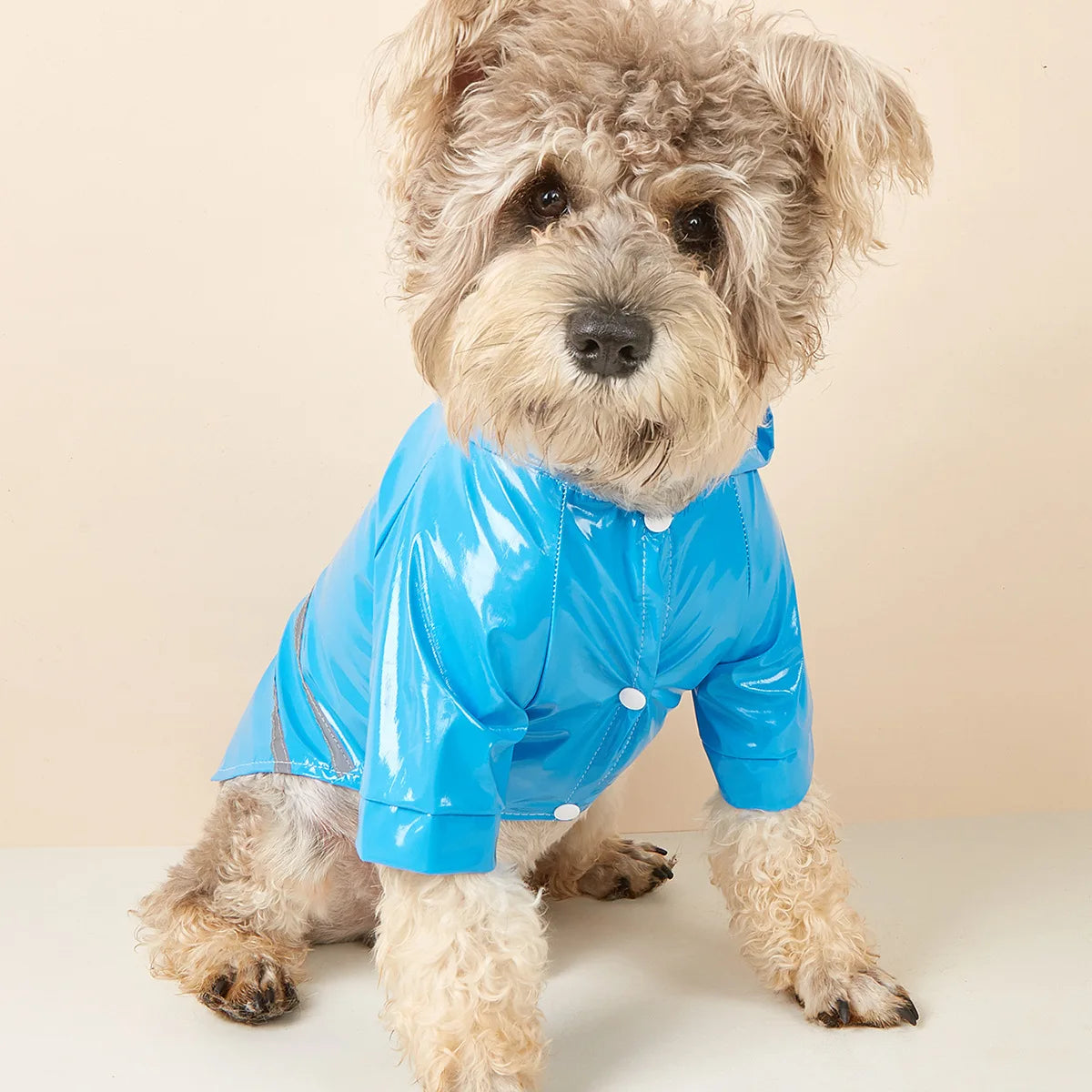 Capa de chuva para cachorro pequeno, impermeável e refletiva, à prova de vento, para cachorros e gatos, capa de chuva para chihuahua, bulldog, animais de estimação, capa, poncho, roupas