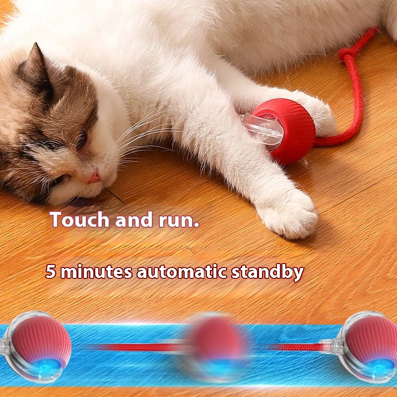 Novos brinquedos elétricos para gatos, bola rolante automática com provocador, brinquedo interativo para gatos com sensor inteligente e recarregável
