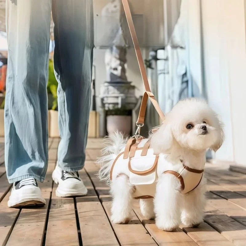 Mochila para transporte de cães pequenos com fixação de guia, peitoral respirável para animais de estimação para gatos e cachorros, viagens ao ar livre com as mãos livres