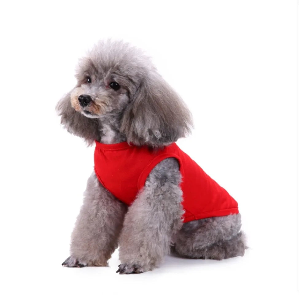 Colete estampado para animais de estimação, feito de material de fibra, para lazer interno e externo, entretenimento, roupas para cães e gatos