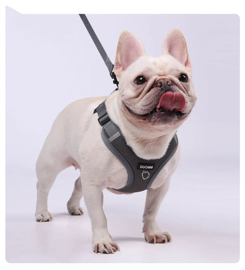 Conjunto de coleira para cães, pequeno, médio, cão, gato, peitoral ajustável, refletivo, respirável, colete de treinamento para caminhada, acessórios para animais de estimação