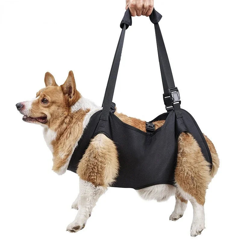 Arnês de elevação para cães, suporte corporal ajustável, alças respiráveis ​​para mobilidade assistida, pernas de cães, reabilitação de quadril