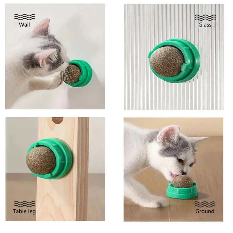 Brinquedo adesivo de parede para gatos Catnip, bola arranhadora, petiscos saudáveis ​​e naturais, remove bolas para promover a digestão, petisco de grama para gatos