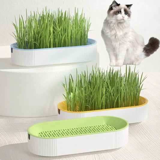 Caixa de grama hidropônica para gatos, petiscos para gatos, erva de gato, plantio hidropônico sem solo, conjunto de vasos para grama de gato para fácil crescimento