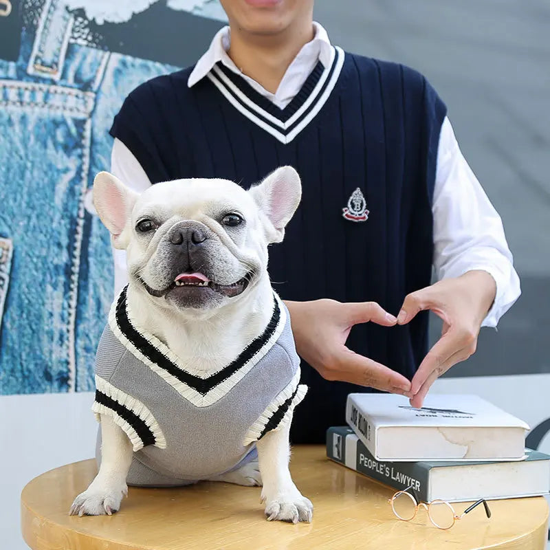 Winter Warm Pet Dog Sweater College Style V-neck Puppy Knitwear for Small Large Doggy Coat French Bulldog Vest Chihuahua Clothes