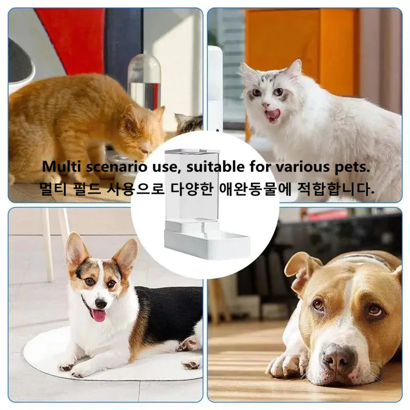 Pet acessories Dog Automatic Feeder Transparent Automatic Gravity Cat Water Bowl High Capacity Food Storage  Container Cat And Dog Accessories