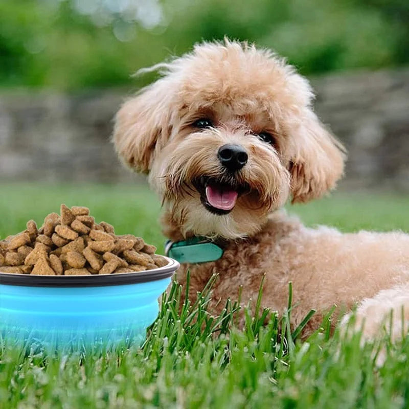 Tigela dobrável de silicone para animais de estimação, tigela grande de água para viagem, recipiente portátil para comida de cachorro, alimentador