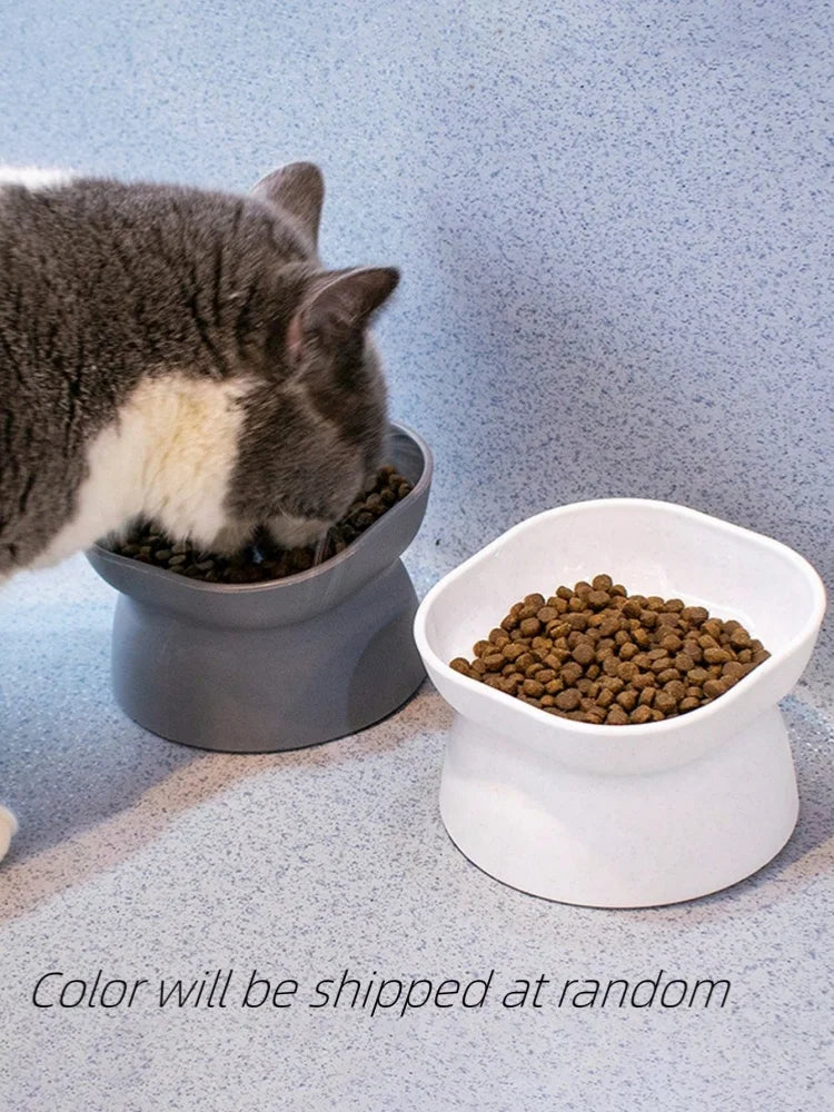 1 tigela para animais de estimação, alimentador de água e comida, para gatos e cães pequenos