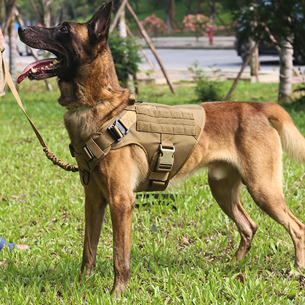 Conjunto de peitoral e guia para cães grandes, colete de treinamento para pastor alemão malinois, colete e coleira para cães de médio e grande porte