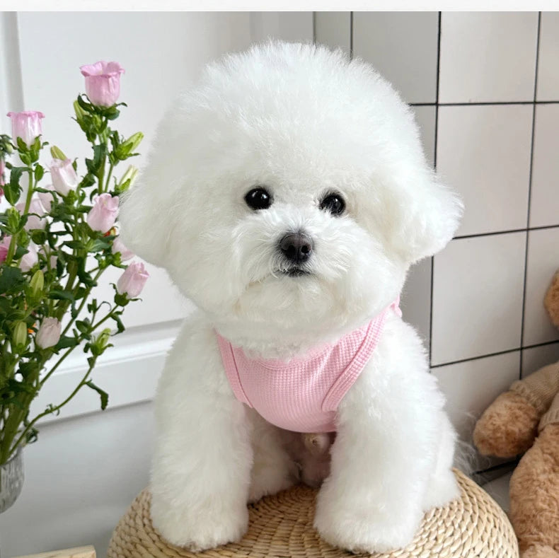 Roupas para cães pequenos, colete fino e fofo para cachorros, roupas para filhotes, roupas respiráveis ​​para chihuahua, colete para gatos, suprimentos para animais de estimação