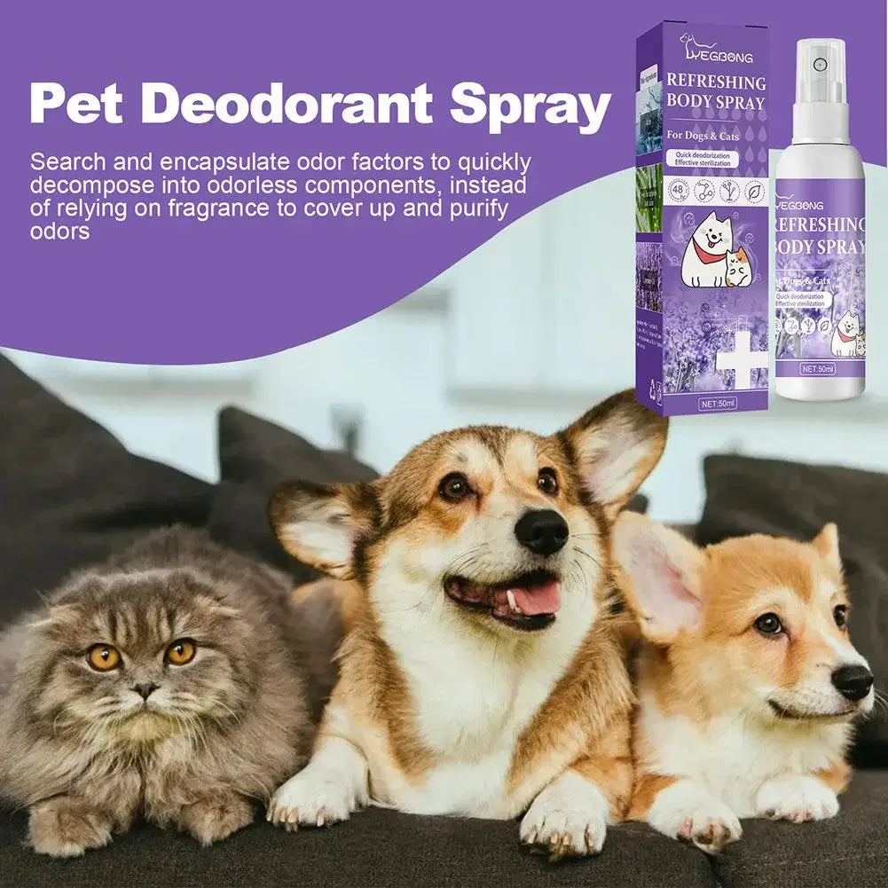 Spray desodorizante de óleo de lavanda para cães, spray desodorizante de longa duração para cães, filhotes, gatos, cães, para remover odores desagradáveis, refrescar o ar