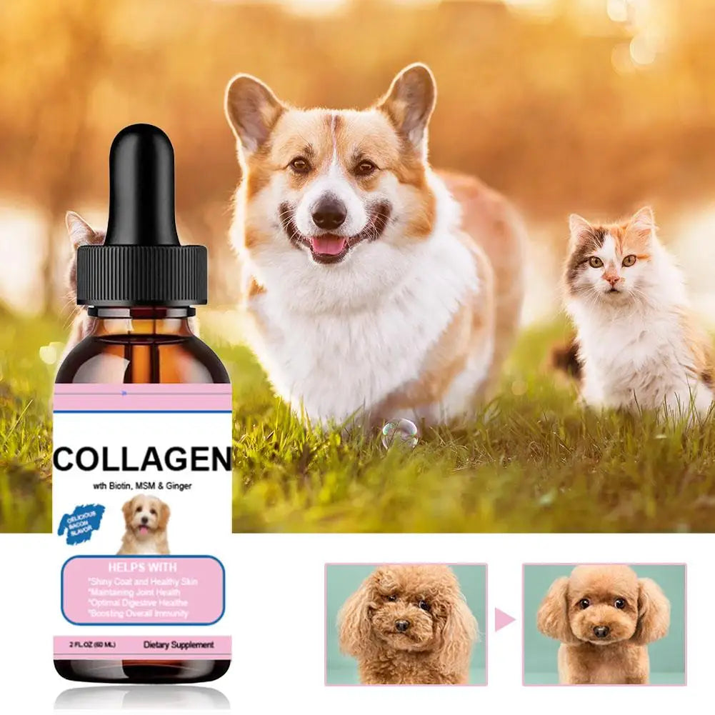 Gotas de colágeno para animais de estimação para cães e gatos, suplemento nutricional saudável que protege a pelagem e melhora a condição corporal, solução nutricional para animais de estimação