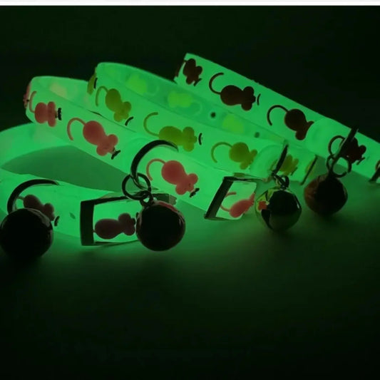 Coleira luminosa para gatos, coleira anti-perda de silicone fluorescente com sino para gatos, acessórios para animais de estimação