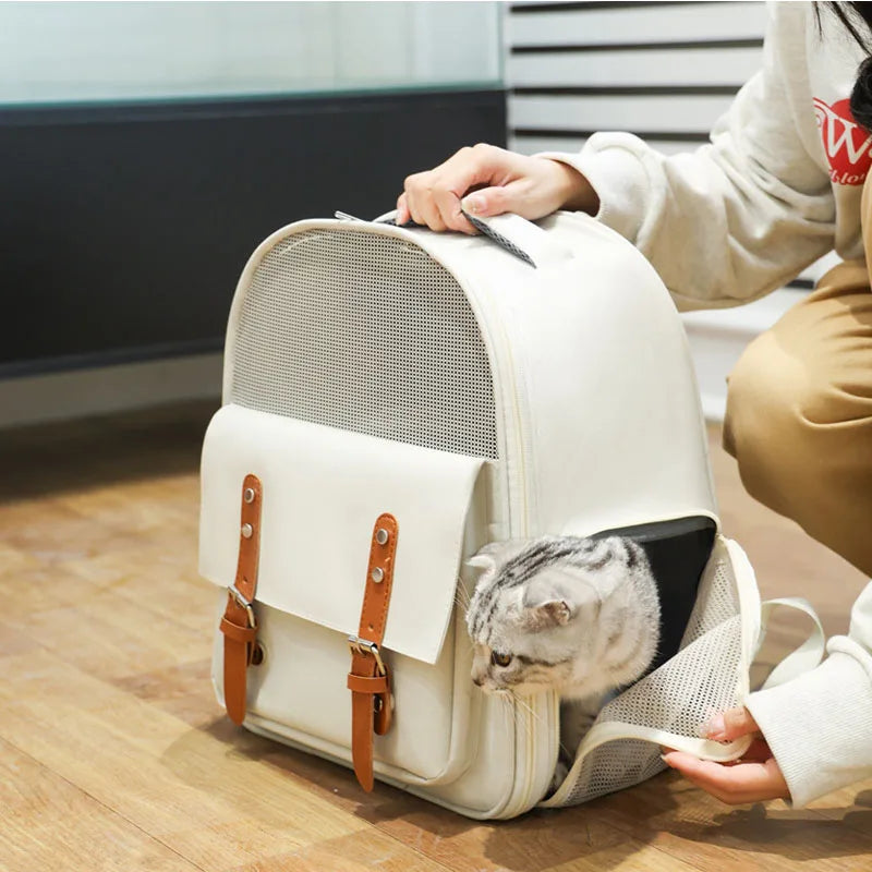 Mochila para transporte de gatos, bolsa respirável e moderna para viagem, para gatos e cães pequenos, suprimentos para animais de estimação