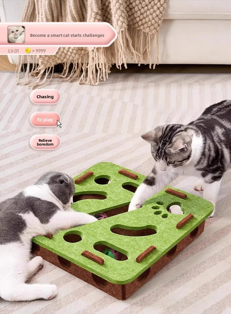 Brinquedos para gatos de estimação, caixa de quebra-cabeça de feltro, exercício interativo, jogo de caça para gatos domésticos, acessórios esportivos e entretenimento