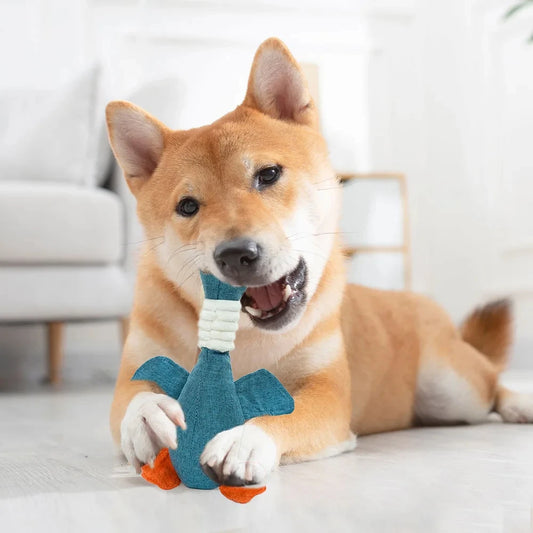Brinquedos para animais de estimação Gansos Resistente a mordidas de som Ranger de dentes Limpeza de dentes para cães e gatos Suprimentos para animais de estimação