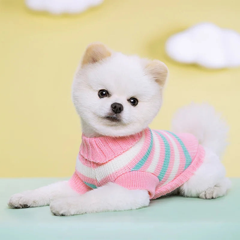 Suéter de malha para cachorro P-2XL outono inverno para cães pequenos gatos roupas quentes e macias chihuahua schnauzer pet gola alta fantasia