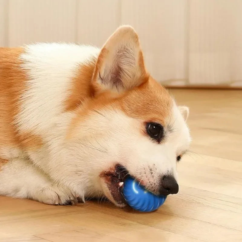 Bola de brinquedo para cachorro com movimento automático, bola de brinquedo inteligente USB com salto giratório e brinquedo interativo para mastigar cachorro, bola de brinquedo para filhotes