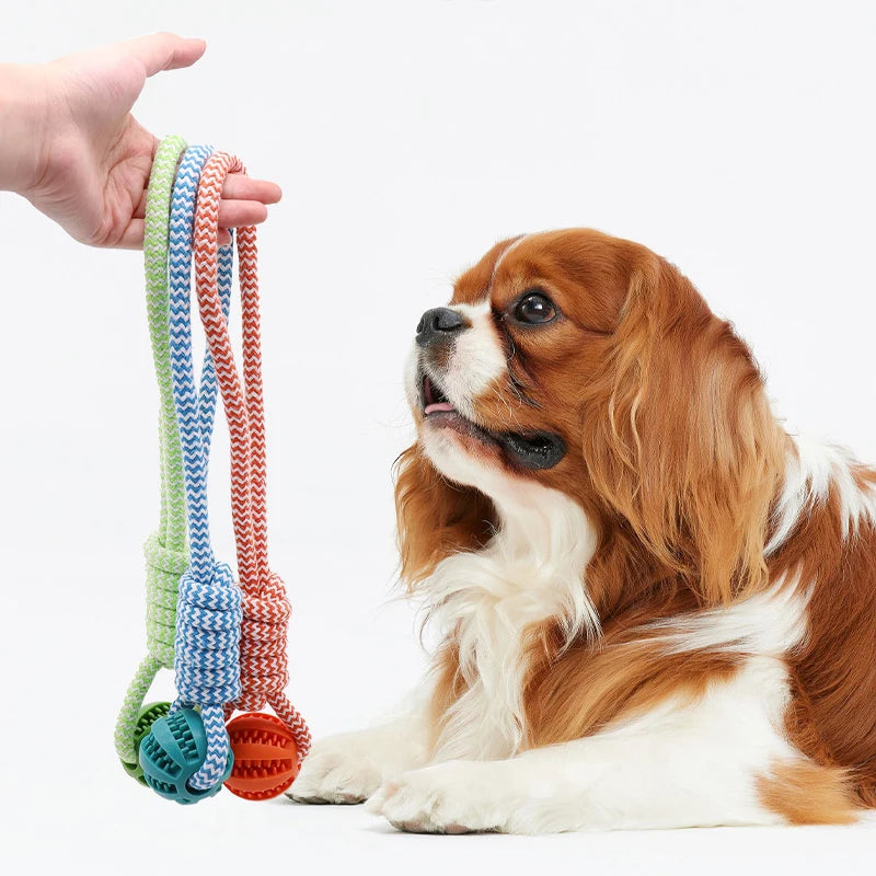 Bola de limpeza de dentes de animais de estimação, brinquedo de corda, bola dispensadora de petiscos de borracha, adequada para cães pequenos e grandes.