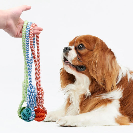 Bola de limpeza de dentes de animais de estimação, brinquedo de corda, bola dispensadora de petiscos de borracha, adequada para cães pequenos e grandes.