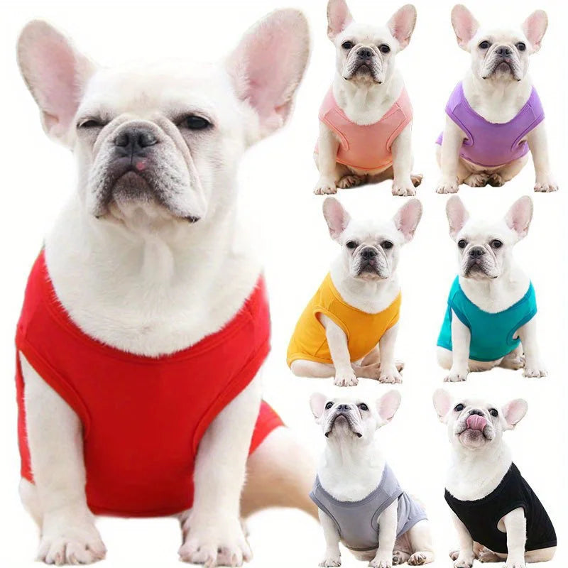 Colete de algodão para cachorro, 1 peça, roupas para animais de estimação para Golden Retriever, Samoieda, Labrador - Ajuste confortável para raças pequenas a grandes, algodão de pelúcia