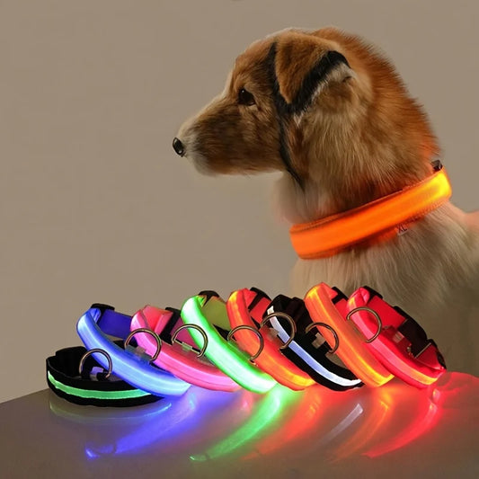 Coleira de segurança noturna de nylon com LED piscante que brilha no escuro para cães, coleira fluorescente luminosa para cães de estimação