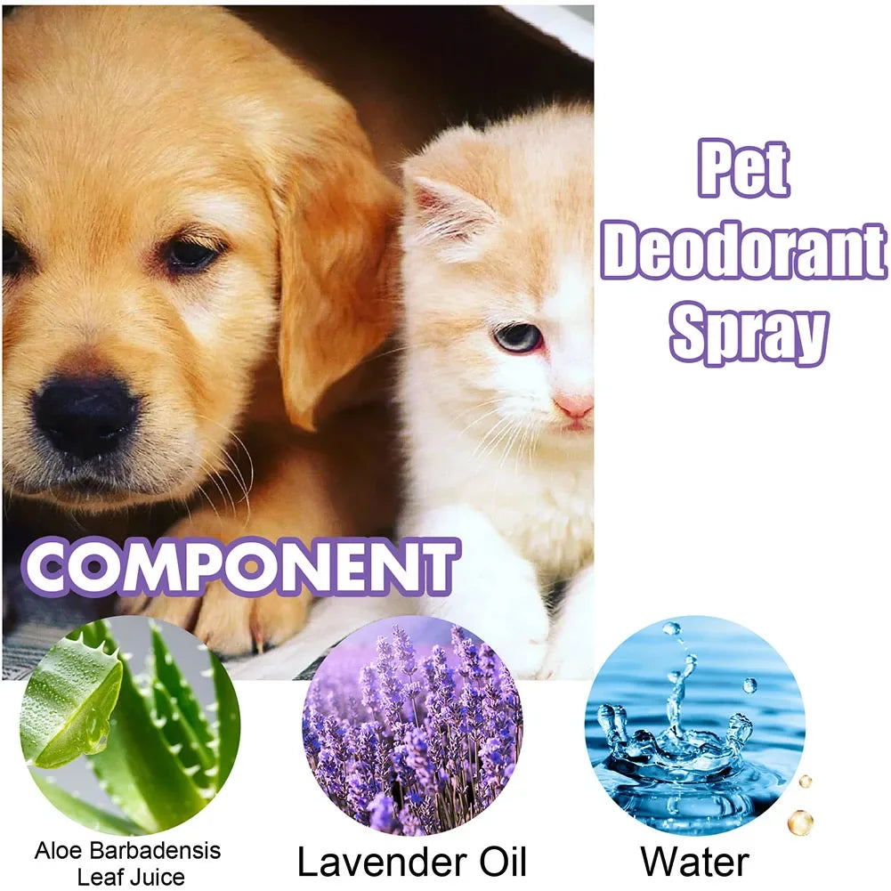 Spray desodorizante de óleo de lavanda para cães, spray desodorizante de longa duração para cães, filhotes, gatos, cães, para remover odores desagradáveis, refrescar o ar