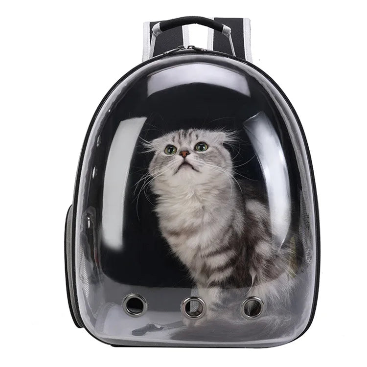 Mochila para animais de estimação, cápsula espacial transparente, mochila de ombro duplo para gatos, bolsa expansível para gatos, bolsa portátil para cães pequenos