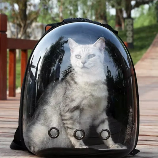 Mochila de transporte para animais de estimação, bolsa de viagem para gatos, transparente, respirável, para viagem